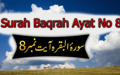 Surah Baqarah Ayat 8 (Verse) with Urdu & English Translation