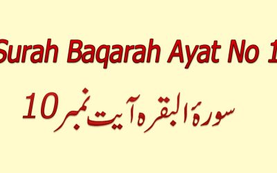 Surah Baqarah Ayat 10 (Verse) with Urdu & English Translation