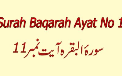Surah Baqarah Ayat 11 (Verse) with Urdu & English Translation