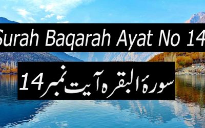 Surah Baqarah Ayat 14 (Verse) with Urdu & English Translation