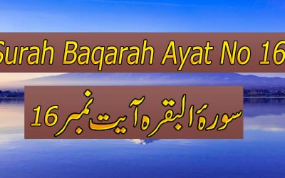 Surah Baqarah Ayat 16 (Verse) with Urdu & English Translation