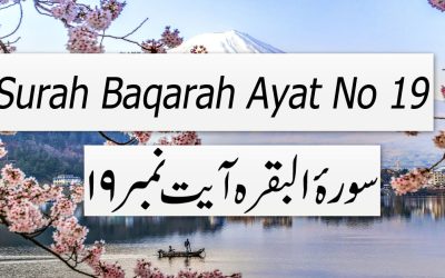 Surah Baqarah Ayat 19 (Verse) with Urdu & English Translation