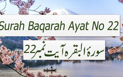 Surah Baqarah Ayat 22 (Verse) with Urdu & English Translation