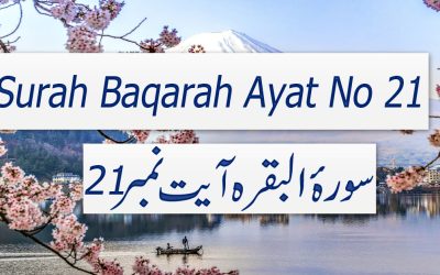 Surah Baqarah Ayat 21 (Verse) with Urdu & English Translation
