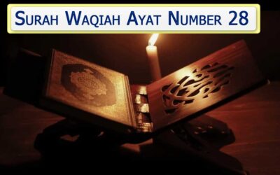 Surah Waqiah Ayat 28 (Verse) With Urdu & English Translation