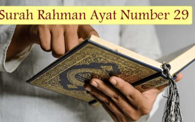 Surah Rahman Ayat 29 (Verse) With Urdu & English Translation
