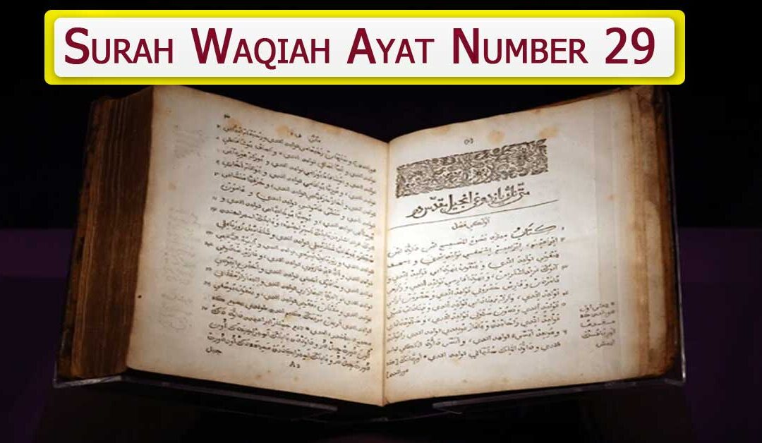 Surah Waqiah Ayat Number 29