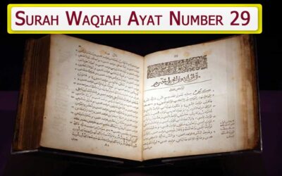 Surah Waqiah Ayat 29 (Verse) With Urdu & English Translation