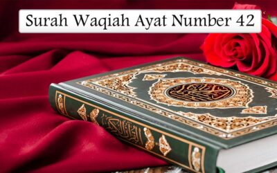 Surah Waqiah Ayat 42 (Verse) With Urdu & English Translation