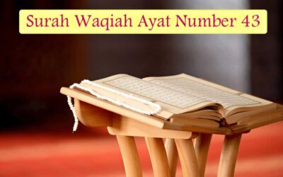 Surah Waqiah Ayat 43 (Verse) With Urdu & English Translation