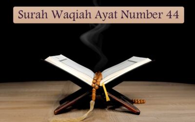 Surah Waqiah Ayat 44 (Verse) With Urdu & English Translation