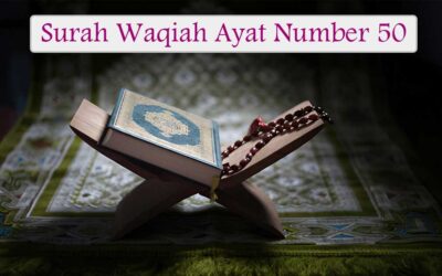 Surah Waqiah Ayat 50 (Verse) With Urdu & English Translation