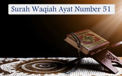 Surah Waqiah Ayat 51 (Verse) With Urdu & English Translation