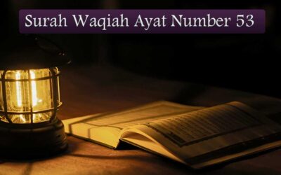 Surah Waqiah Ayat 53 (Verse) With Urdu & English Translation