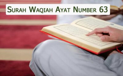 Surah Waqiah Ayat 63 (Verse) With Urdu & English Translation