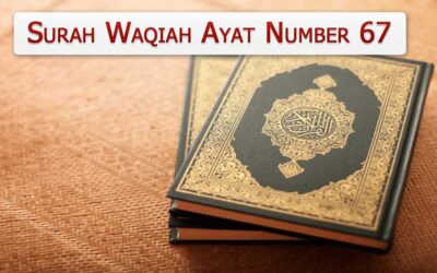 Surah Waqiah Ayat 67 (Verse) With Urdu & English Translation