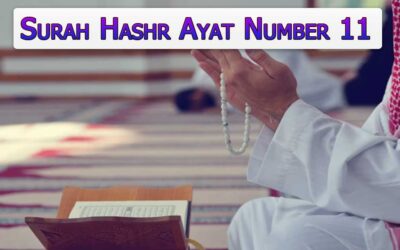 Surah Hashr Ayat 11 (Verse) With Urdu & English Translation