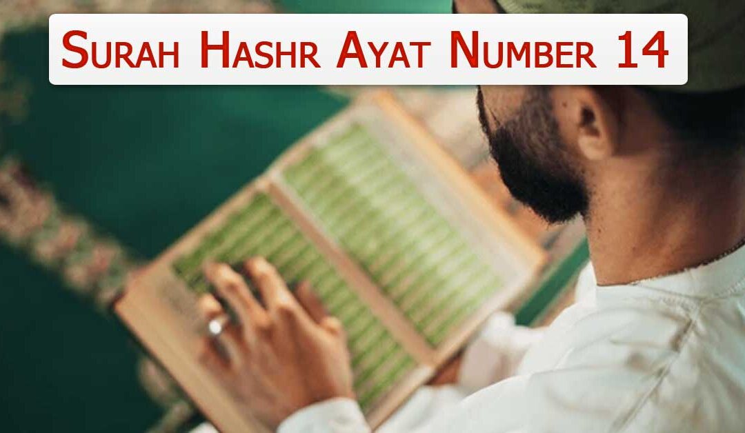 Surah Hashr Ayat Number 14