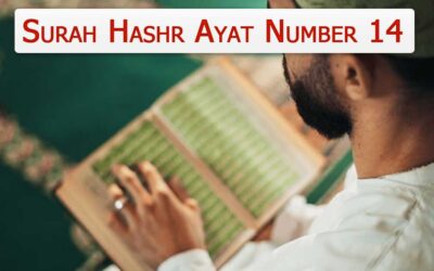 Surah Hashr Ayat 14 (Verse) With Urdu & English Translation