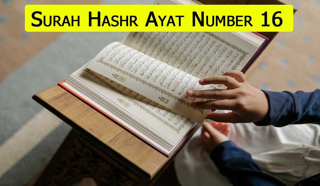 Surah Hashr Ayat Number 16