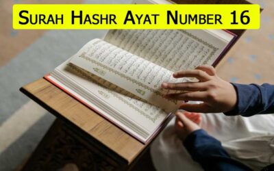 Surah Hashr Ayat 16 (Verse) With Urdu & English Translation