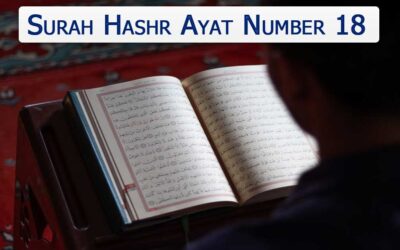 Surah Hashr Ayat 18 (Verse) With Urdu & English Translation
