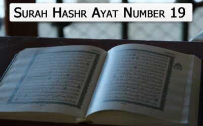 Surah Hashr Ayat 19 (Verse) With Urdu & English Translation