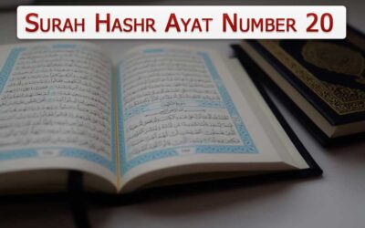 Surah Hashr Ayat 20 With Urdu & English Translation