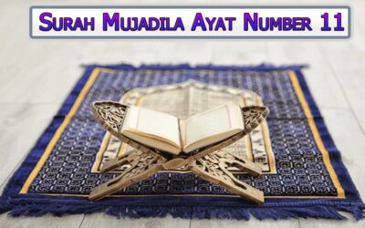 Surah Mujadila Ayat 11 (Verse) With Urdu & English Translation