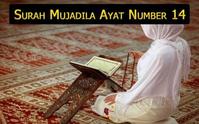 Surah Mujadila Ayat 14 (Verse) With Urdu & English Translation