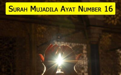 Surah Mujadila Ayat 16 (Verse) With Urdu & English Translation