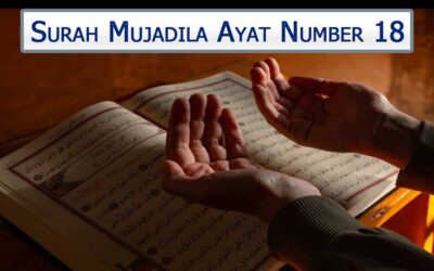 Surah Mujadila Ayat 18 (Verse) With Urdu & English Translation