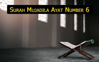 Surah Mujadila Ayat 6 (Verse) With Urdu & English Translation