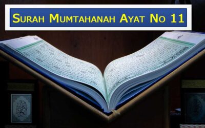 Surah Mumtahanah Ayat 11 with Urdu & English Translation