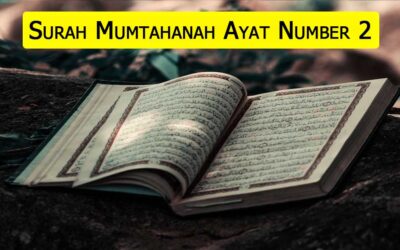 Surah Mumtahanah Ayat 2 With Urdu & English Translation