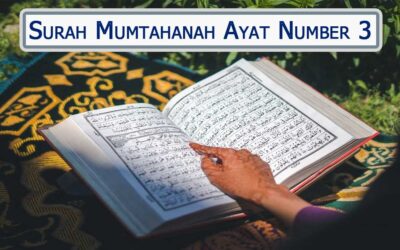 Surah Mumtahanah Ayat 3 With Urdu & English Translation