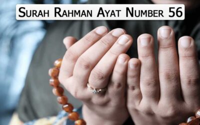 Surah Rahman Ayat 56 (Verse) With Urdu & English Translation