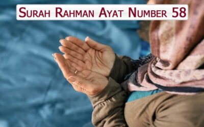 Surah Rahman Ayat 58 (Verse) With Urdu & English Translation