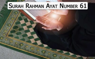 Surah Rahman Ayat 61 (Verse) With Urdu & English Translation