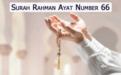 Surah Rahman Ayat 66 (Verse) With Urdu & English Translation