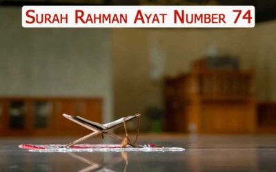 Surah Rahman Ayat 74 (Verse) With Urdu & English Translation