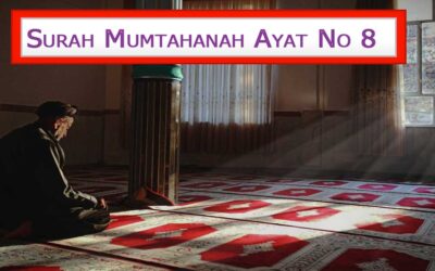 Surah Mumtahanah Ayat 8 With Urdu & English Translation