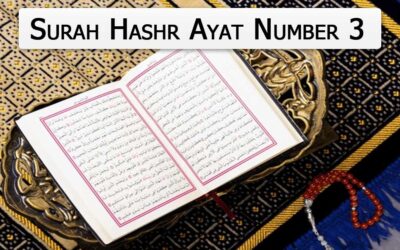 Surah Hashr Ayat 3 (Verse) With Urdu & English Translation
