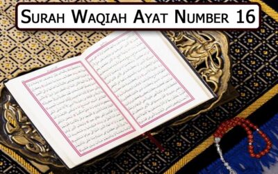 Surah Waqiah Ayat 16 (Verse) With Urdu & English Translation