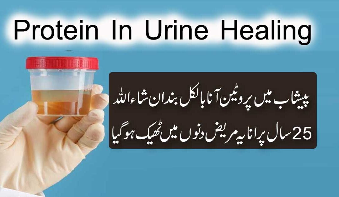 Protein In Urine Treatment